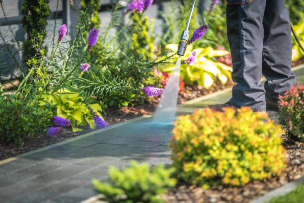 Best Animal Enclosure Cleaning  in Haines City, FL