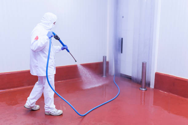 Best Heavy Equipment Washing  in Haines City, FL