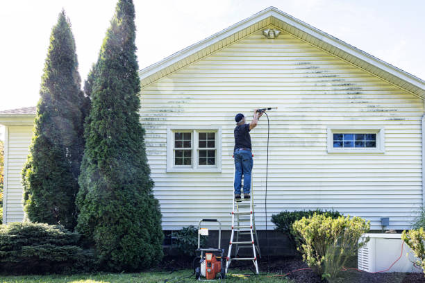 Best Solar Panel Cleaning  in Haines City, FL